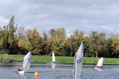 Doro-IMG_20251026_110345