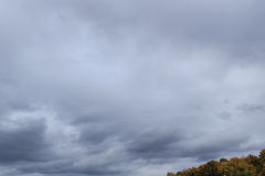 Doro-IMG_20251026_114852