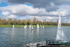 Annerose-Kiefer-20260329_121645