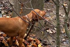 sDoro-IMG-20251122-WA0046