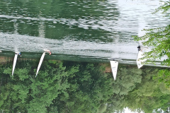 Alexander-Mueller-IMG_20260503_115721