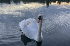 Sibylle-Gut-IMG_9540