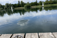Sibylle-Gut-IMG_9558