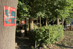 SDoro-IMG_5677