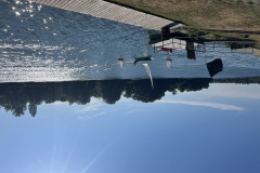SDoro-IMG_5713