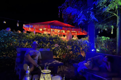 SDoro-IMG_5878